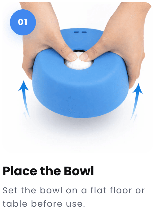 Step 1: Place the bowl on a flat floor or table before use.